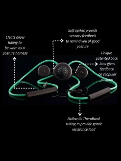 GravityFit TPro 2.0